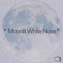 Moonlit White Noise, Pt. 10