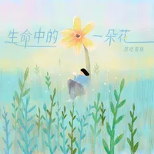 生命中的一朵花