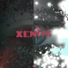 XENOS