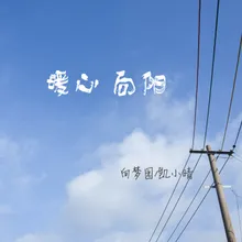 暖心向阳