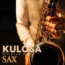 Kulosa