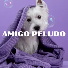 CALMA A TU PERRO