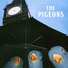The Pigeon 1000 Super Music Computer