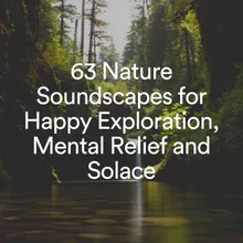 Acid Rain and Nature Sounds