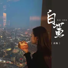 白鲨