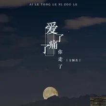 爱了痛了你走了