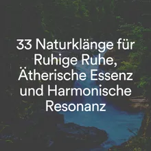 Meditationsgeräusche der Natur