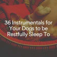 Ultimate Chill Music for Your Dog, Pt. 2