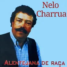 Nelo Charrua Medley : Uma Rosa No Jardim / Noiva Branca / Roubar Um Beijo / O Meu Torrão