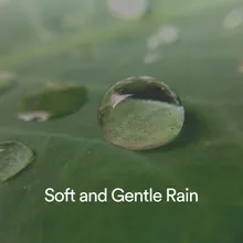 Romantic Rain Sounds: A Love Song in the Rain