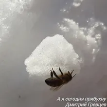 А я сегодня прибухну