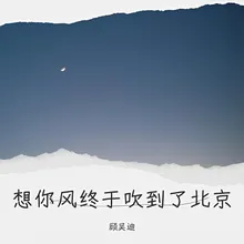 想你风终于吹到了北京