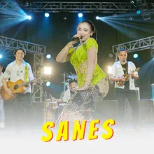 Sanes