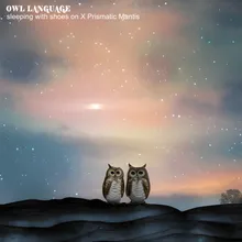 Owl Language