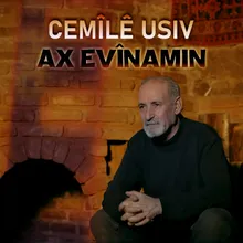 Ax Evînamin