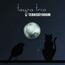 Terkediyorum