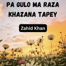 Pa Gulo Ma Raza Khazana Tapey