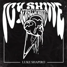 Luke Shapiro