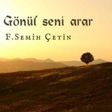 Gönül Seni arar