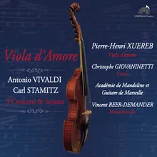Sonate pour viole d'amour et violon in D Major: I. Allegro un poco moderato