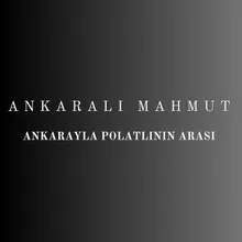 Ankarayla Polatlının Arası