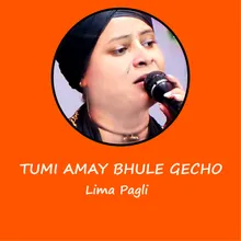 Tumi Amay Bhule Gecho