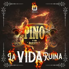 La vida Ruina