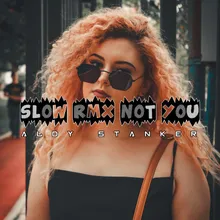 Slow Rmx Not You