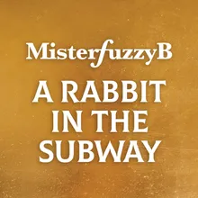 A Rabbit In The Subway