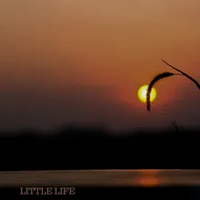 Little Life