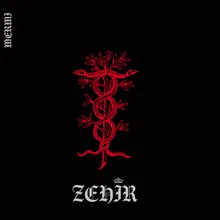 Zehir