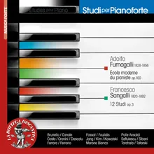 École moderne du pianiste, Etude de bravoure No. 17 in B-Flat Minor, Op. 100, "La Roche du Diable": Agitato - Allegretto concitato