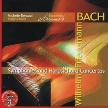 Concerto for harpsichord and strings, In E Minor, FK 43: Adagio