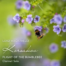 Flight of the Bumblebee