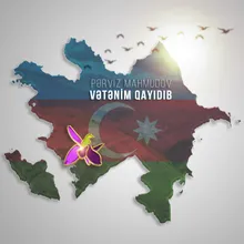 Vətənim Qayıdıb