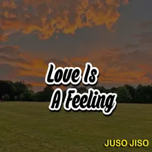 Love Is Feeling