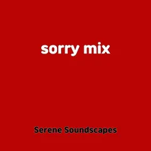 sorry mix