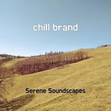 chill brand