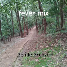 fever mix