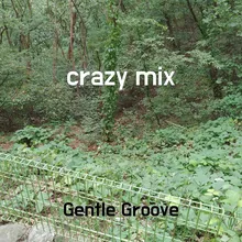 crazy mix