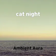 cat night