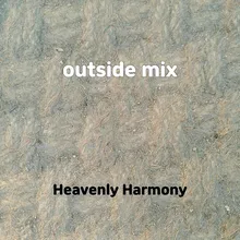 outside mix