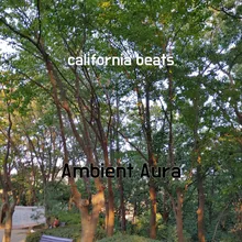 california beats