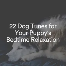 Keep Calm Dog Melodies, Pt. 2