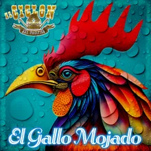 El Gallo Mojado