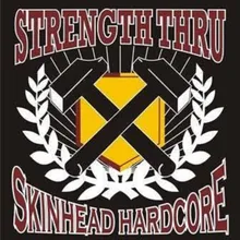 Thank you for Skinhead, Punk n youth