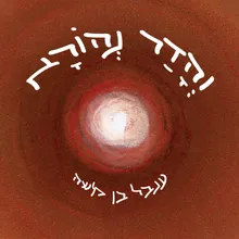 לו היו