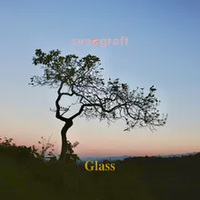 Glass