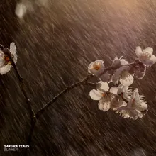 sakura tears.