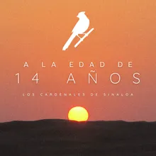 Adiós Adiós